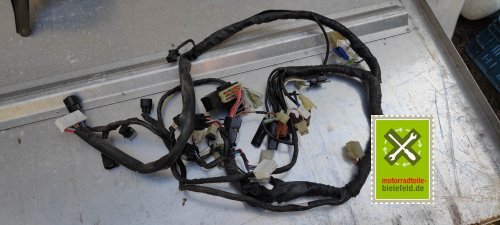 IMG_20230826_174105